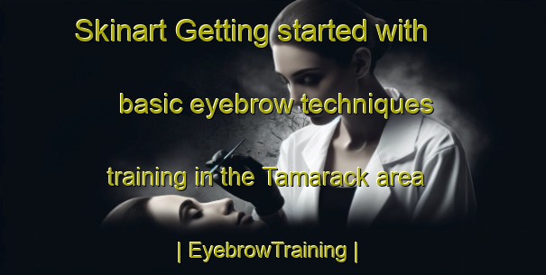 Skinart Getting started with basic eyebrow techniques training in the Tamarack area | EyebrowTraining | EyebrowClasses | SkinartTraining-Canada
